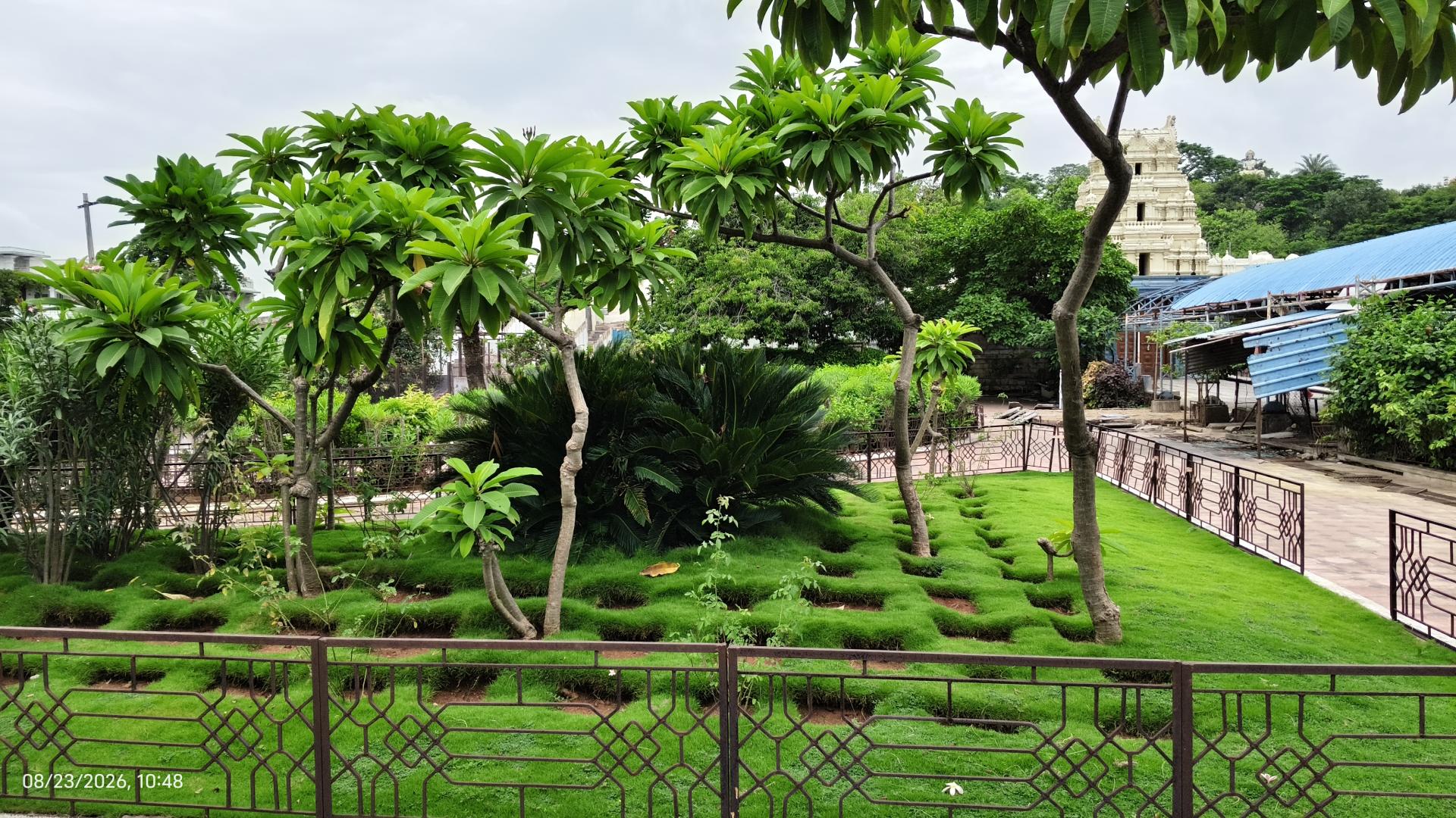 Gallery image for Basara Trip